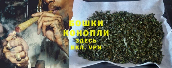 спиды Лиски