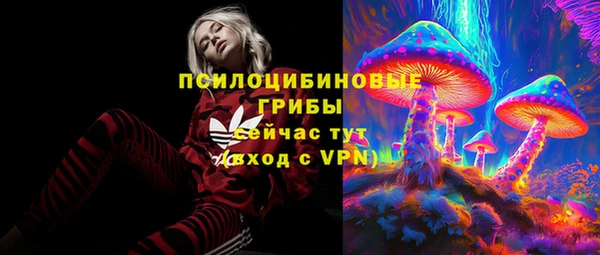 а пвп мука Липки