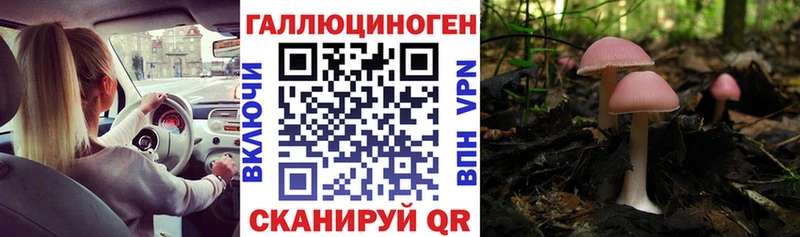магазин продажи наркотиков  Новосиль  Галлюциногенные грибы MAGIC MUSHROOMS 