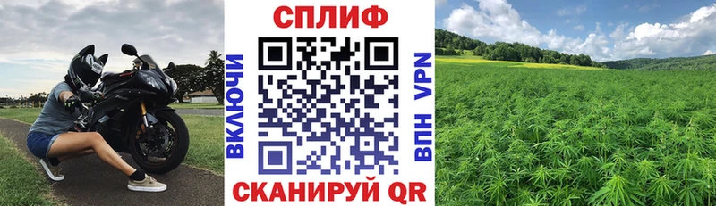 маркетплейс какой сайт Новосиль Шишки марихуана OG Kush продажа наркотиков